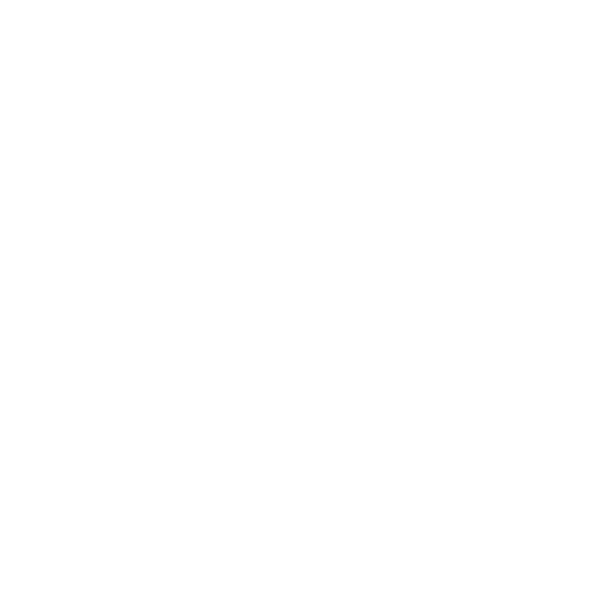 VIZION
